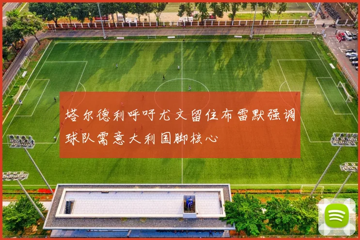 塔尔德利呼吁尤文留住布雷默强调球队需意大利国脚核心