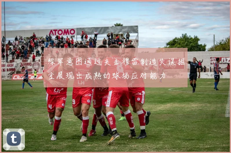 绿军意图通过夹击穆雷制造失误掘金展现出成熟的球场应对能力